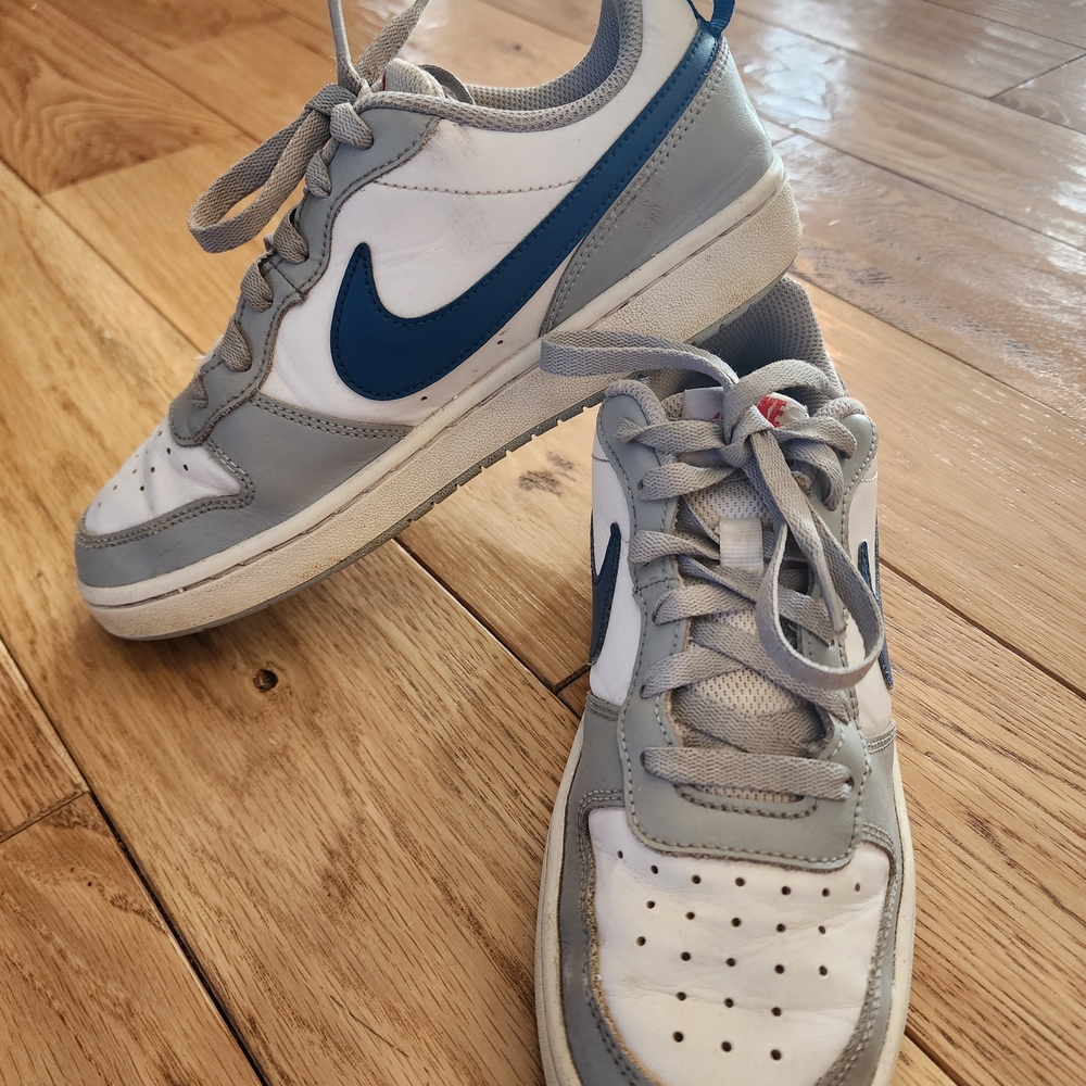 Nike Court Borough Low 2